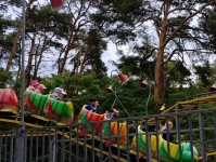 img_20250624_114257298-kopiowanie-jpg1754639554